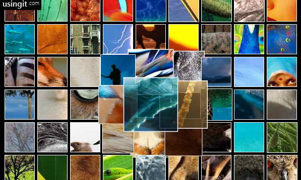 Flash Thumbnail Grid Gallery Builder - Screenshot #1