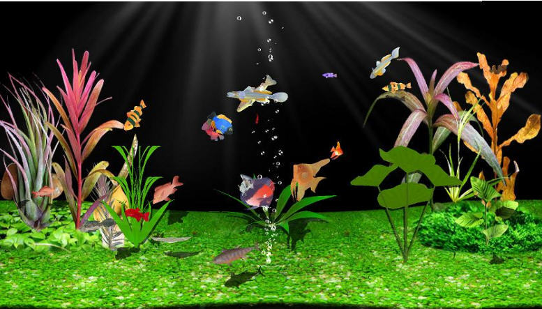 Digital Aquarium Screensaver Download For Free - Softdeluxe