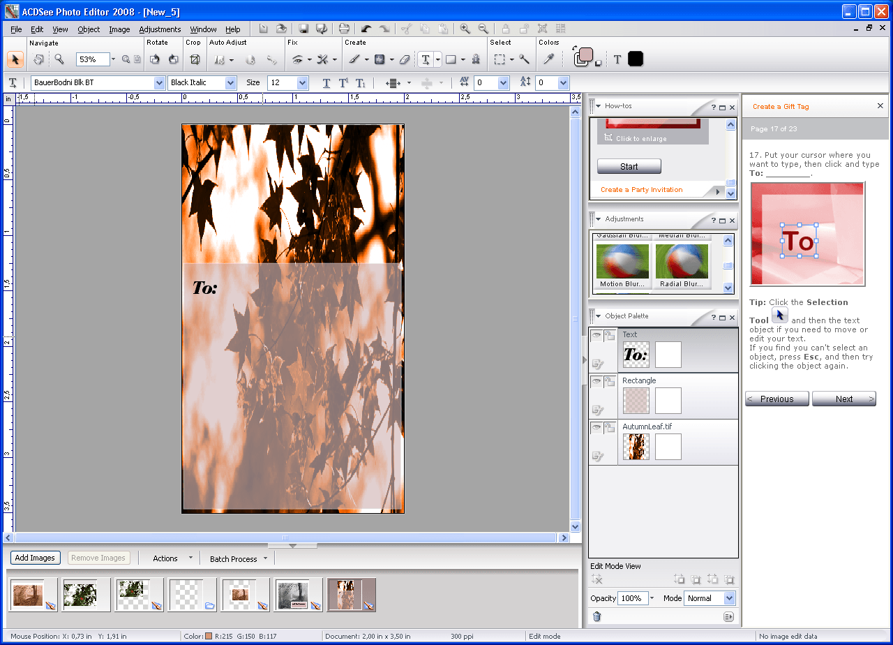 ACDSee - Screenshot #10