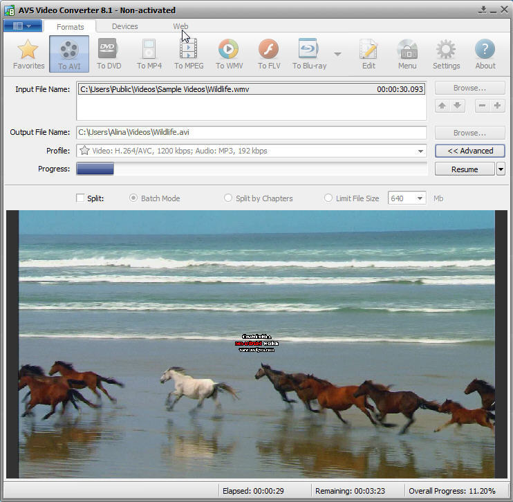 AVS Video Converter - Screenshot #25