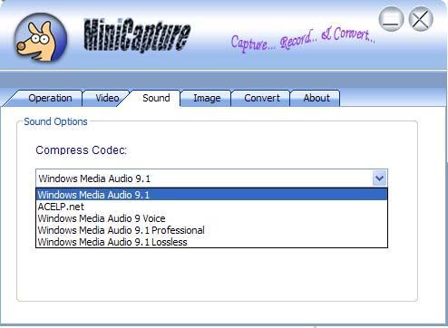 MiniCapture latest version - Get best Windows software
