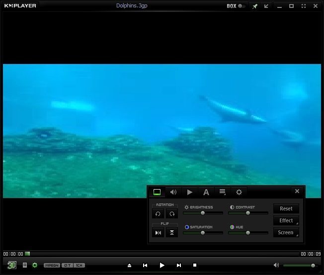The KMPlayer - Screenshot #8