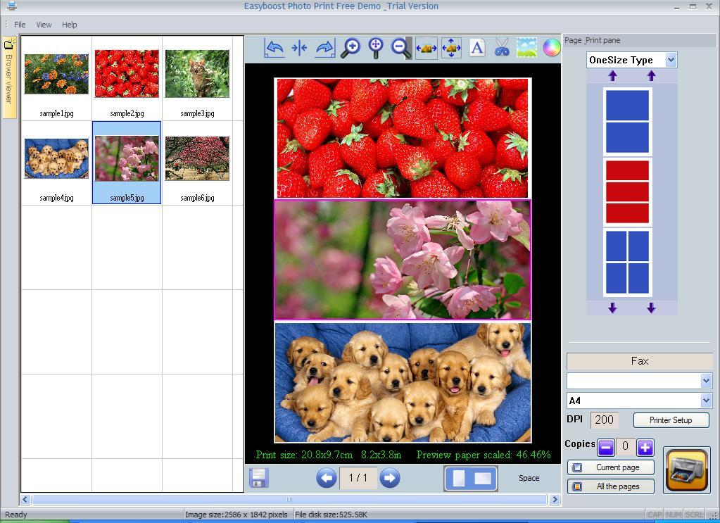 Easyboost Photo Print latest version Get best Windows software