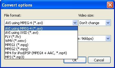 Free Download Manager - Screenshot #13