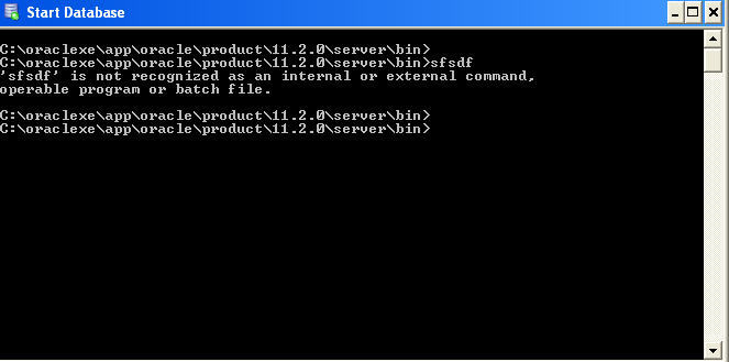 Oracle Client Express Edition - Screenshot #1