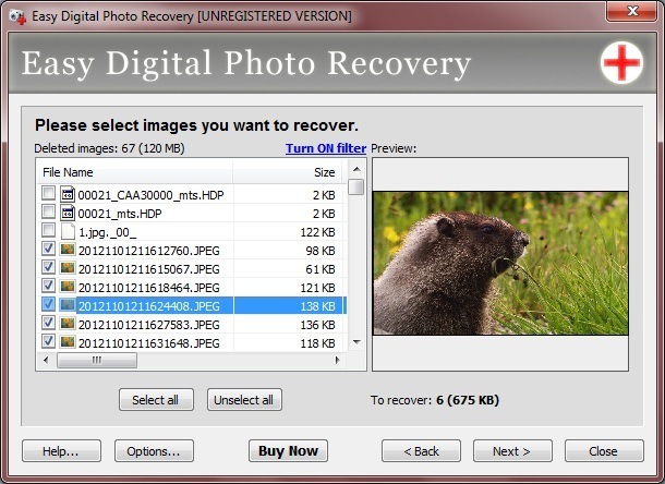 Easy Digital Photo Recovery - Screenshot #3