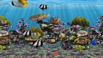 3D Fish School Screen Saver - Screenshot #6