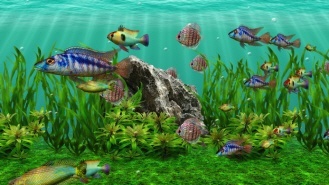 3D Fish School Screen Saver - Screenshot #5
