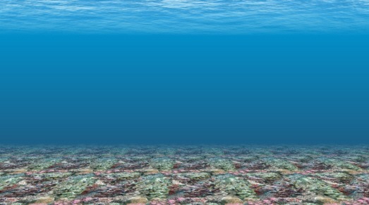 3D Fish School Screen Saver - Screenshot #3