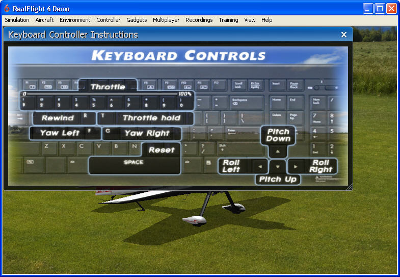 RealFlight - Screenshot #2