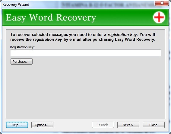 Starus Word Recovery 4.6 instal the new version for apple
