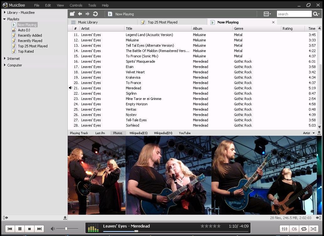 MusicBee - Screenshot #17