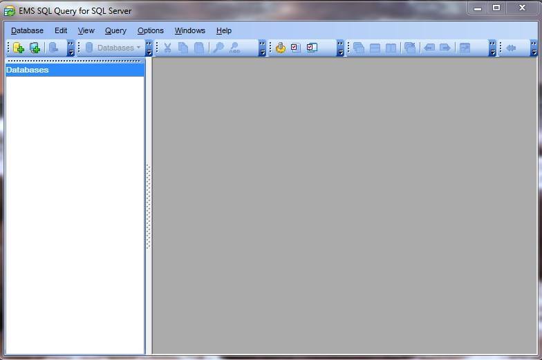 EMS SQL Query for SQL Server - Screenshot #1