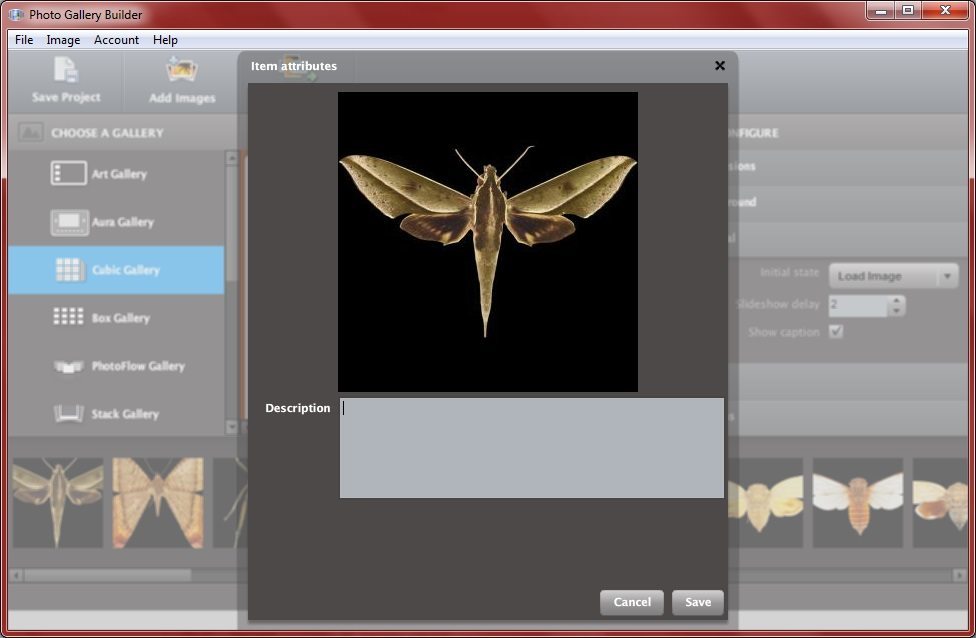 Photo Gallery Builder latest version Get best Windows software