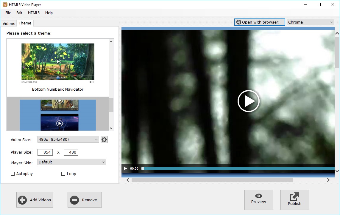 html5 video player not working in chrome