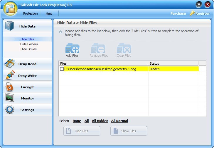 GiliSoft File Lock Pro - Screenshot #24