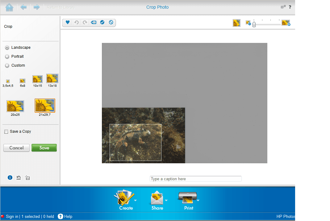 HP Image Zone - Screenshot #3