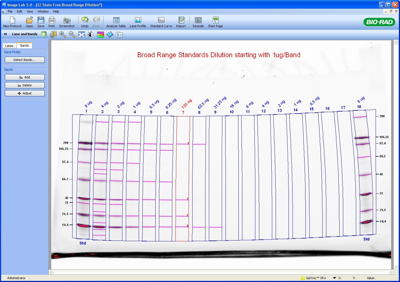 ImageLab4.1 - Screenshot #1