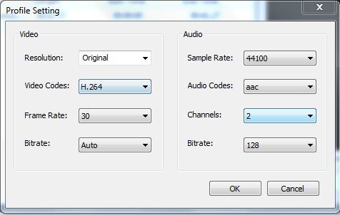 SnowFox Total Video Converter - Screenshot #4