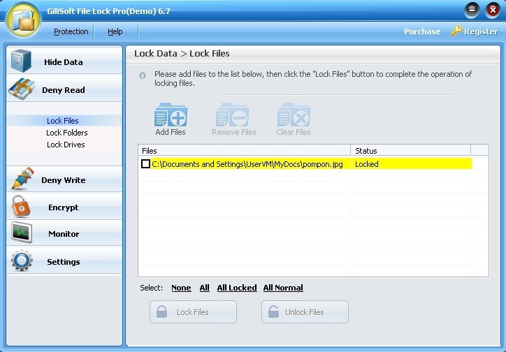 GiliSoft File Lock Pro - Screenshot #18