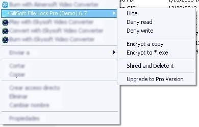 GiliSoft File Lock Pro - Screenshot #16