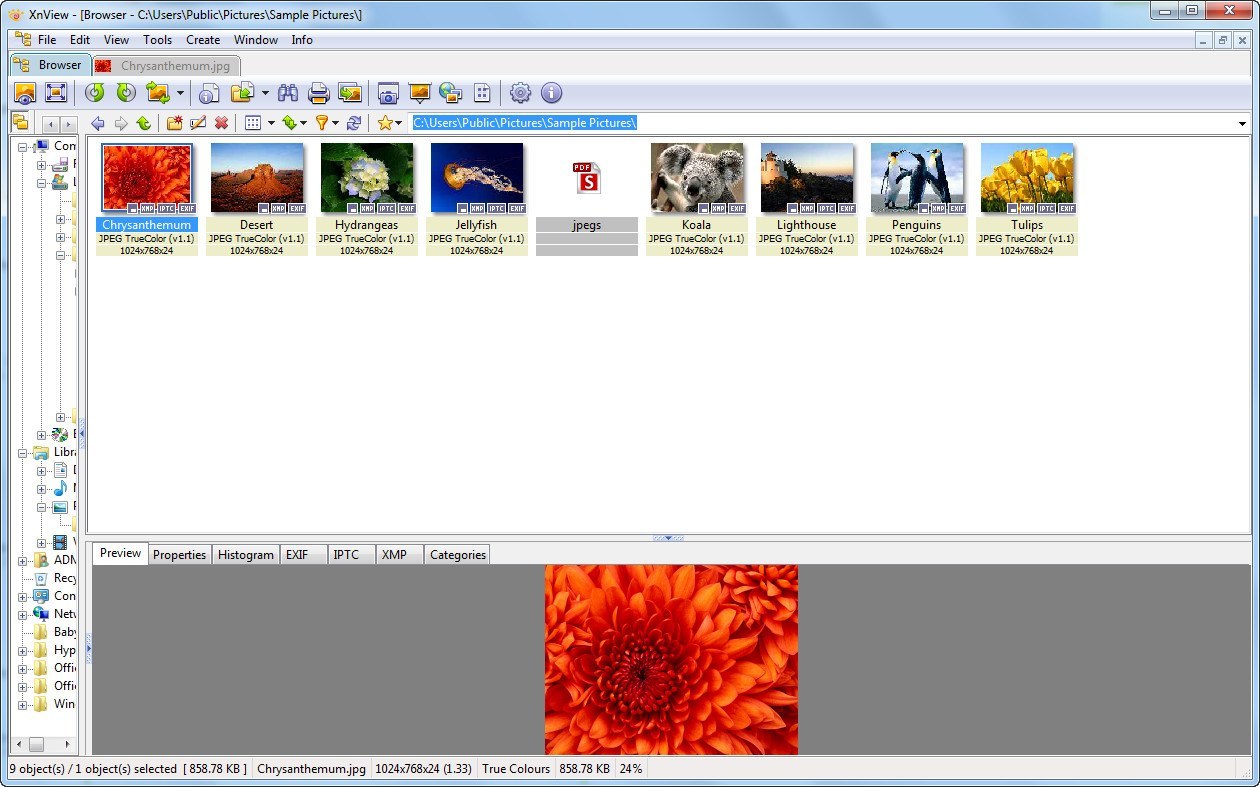 for windows download XnView 2.51.5 Complete