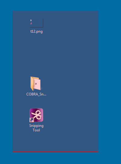 COBRA Snipping Tool - Screenshot #1