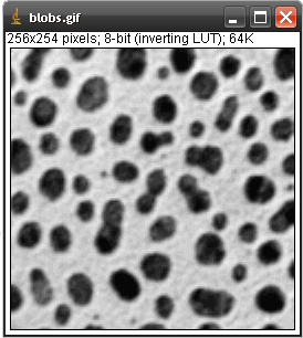 ImageJ - Screenshot #2