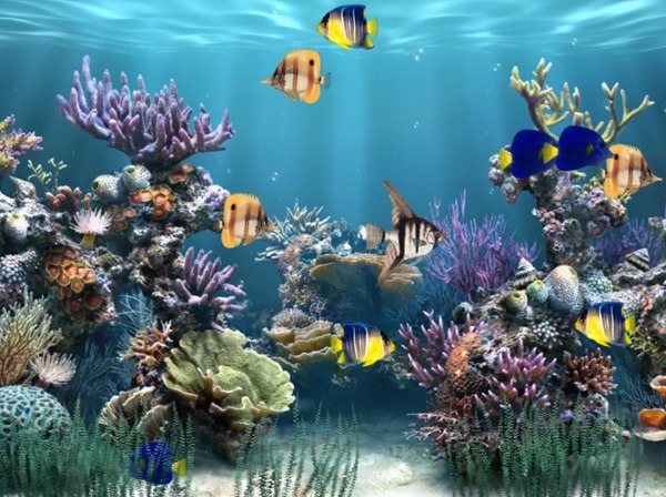 AW-Mill Aquarium Animated Wallpaper - Screenshot #1