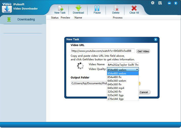 iPubsoft Video Downloader - Screenshot #1