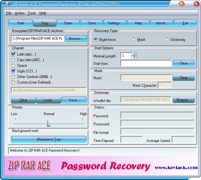 ZIP RAR ACE Password Recovery - Screenshot #4