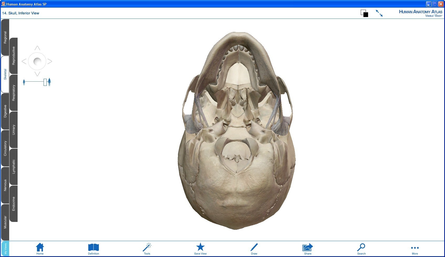 Human Anatomy Atlas download for free - SoftDeluxe