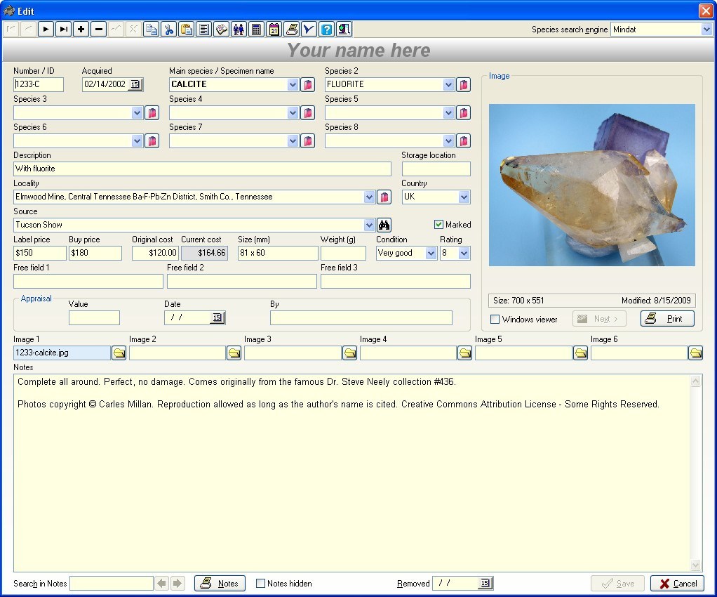 Minerals - Screenshot #1