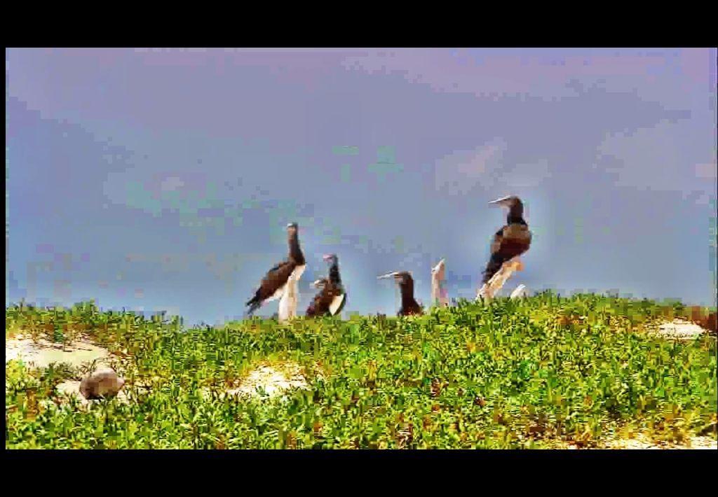 Final Media Player - Screenshot #7