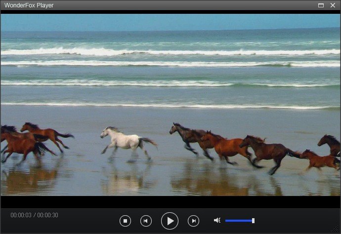 Video Converter Factory Pro - Screenshot #17
