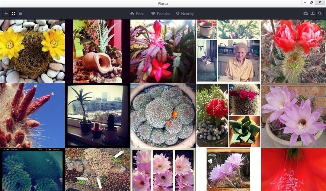 Pixsta - Screenshot #3