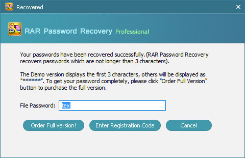 RAR Password Recovery Professional - Screenshot #2