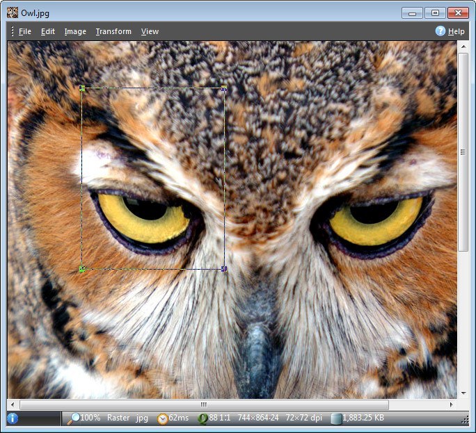 ThumbsPlus - Screenshot #10