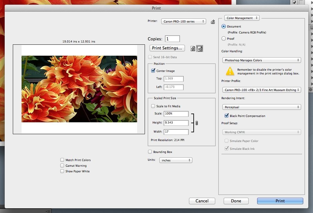 Canon Print Studio Pro download for free SoftDeluxe