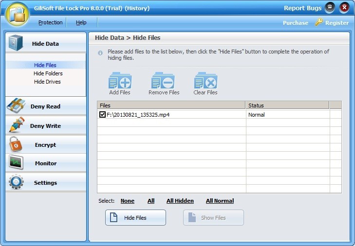 GiliSoft File Lock Pro - Screenshot #13