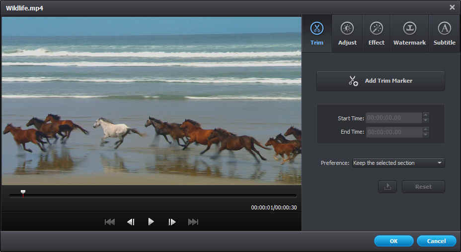 Wondershare Video Converter Ultimate - Screenshot #10