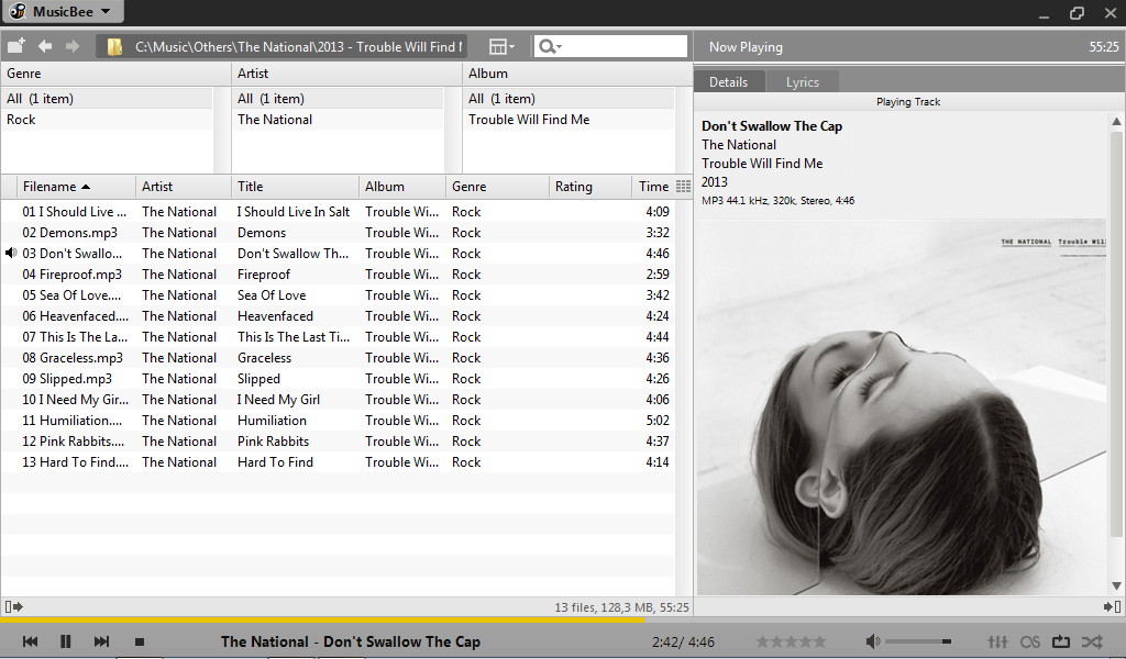 MusicBee - Screenshot #5