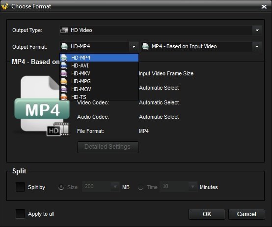 ACDSee Video Converter Pro - Screenshot #8