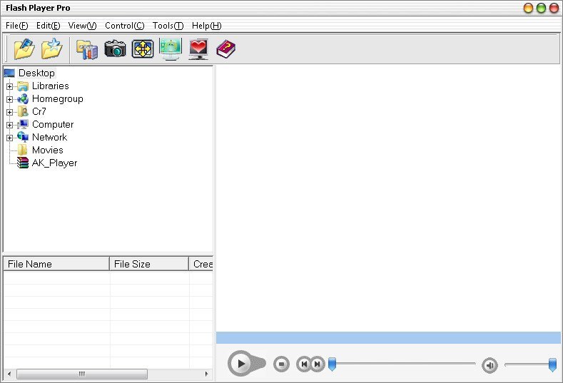 Flash Player Pro - Screenshot #1
