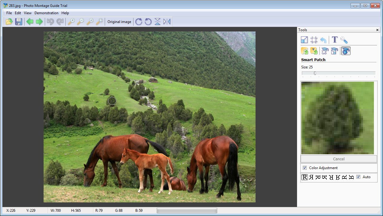 Montage Program Photo Montage Guide latest version - Get best Windows software