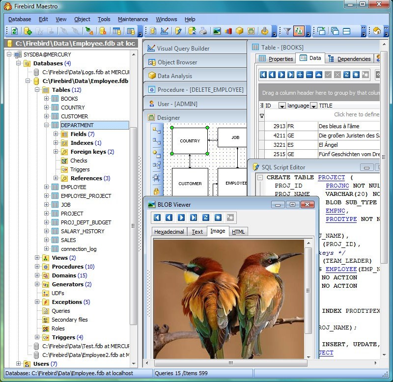 Firebird Maestro - Screenshot #1