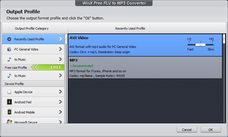 WinX Free FLV to MP3 Converter - Screenshot #3