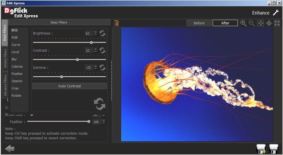 Edit Xpress DgFlick Edit Xpress STD download for free - SoftDeluxe