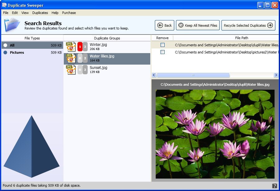 Duplicate Sweeper - Screenshot #2
