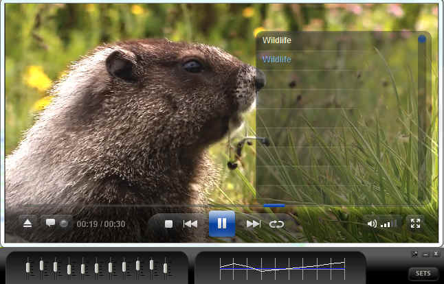 ALLPlayer - Screenshot #10
